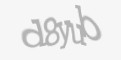 Защитный код