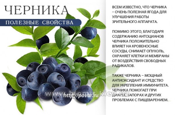 Черника сушеная