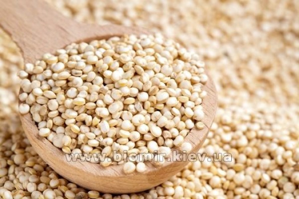quinoa--11