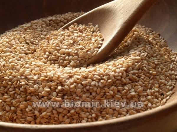 sesame3