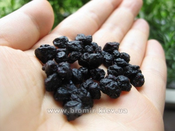 Черника сушеная